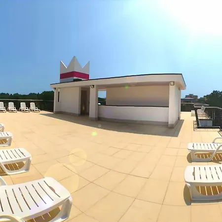 Regina * ビビオーネ
